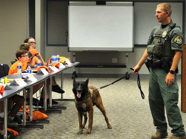 Wichita Falls Pd Junior Academy Spends Day With K9 Officer