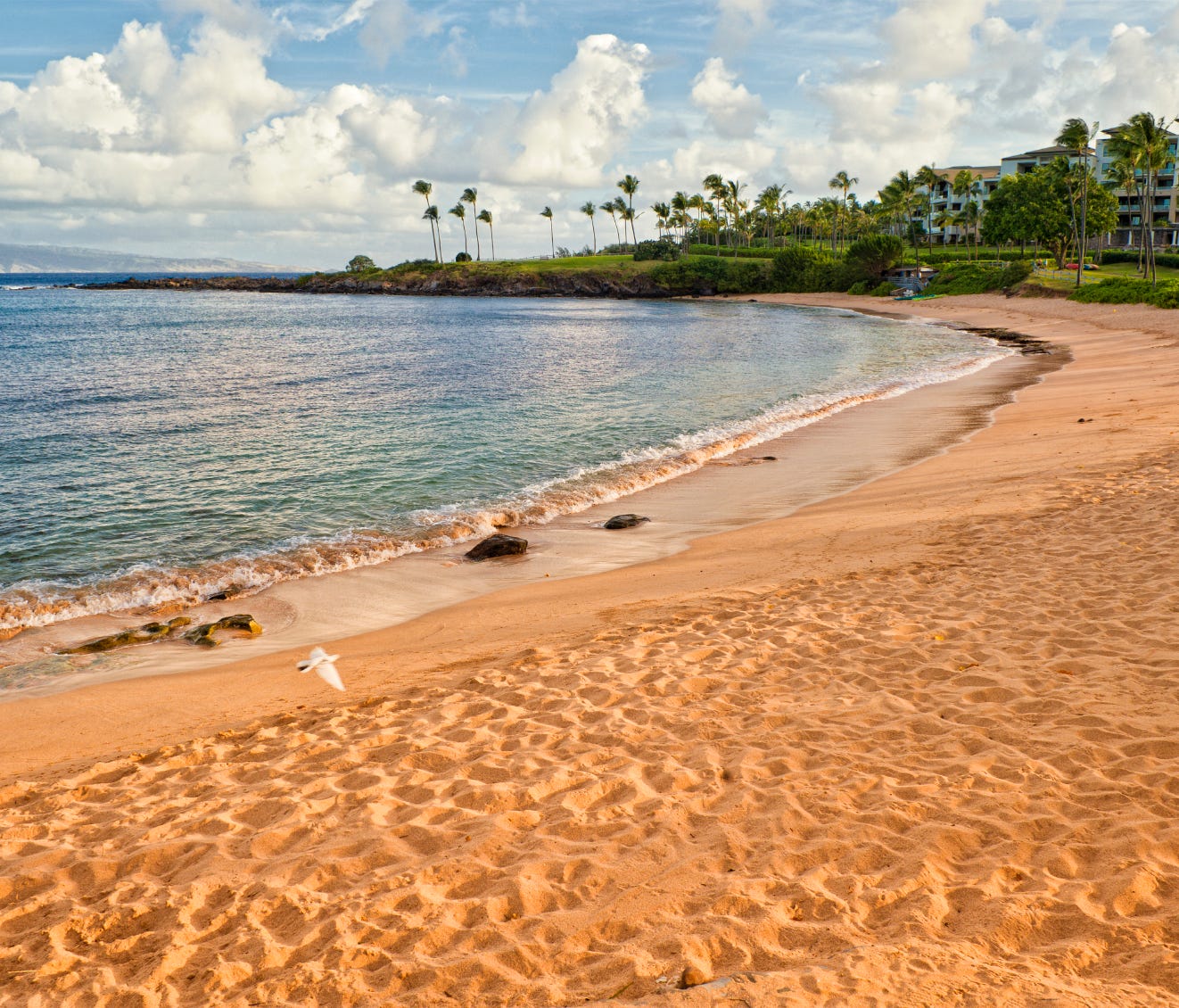 Kapalua Bay Beach in Maui, Hawaii, is the USA's best beach, according to an annual survey by 