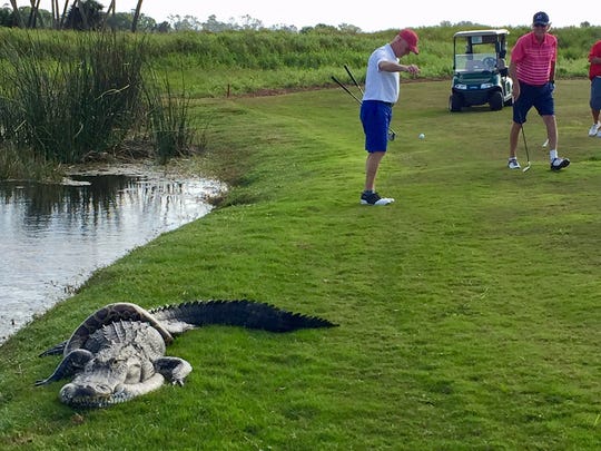 Take the Florida Man Challenge!