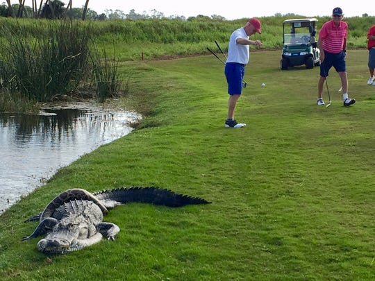 Take the Florida Man Challenge! – Florida Weirdness