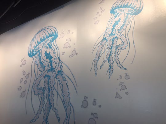 adventure aquarium says no