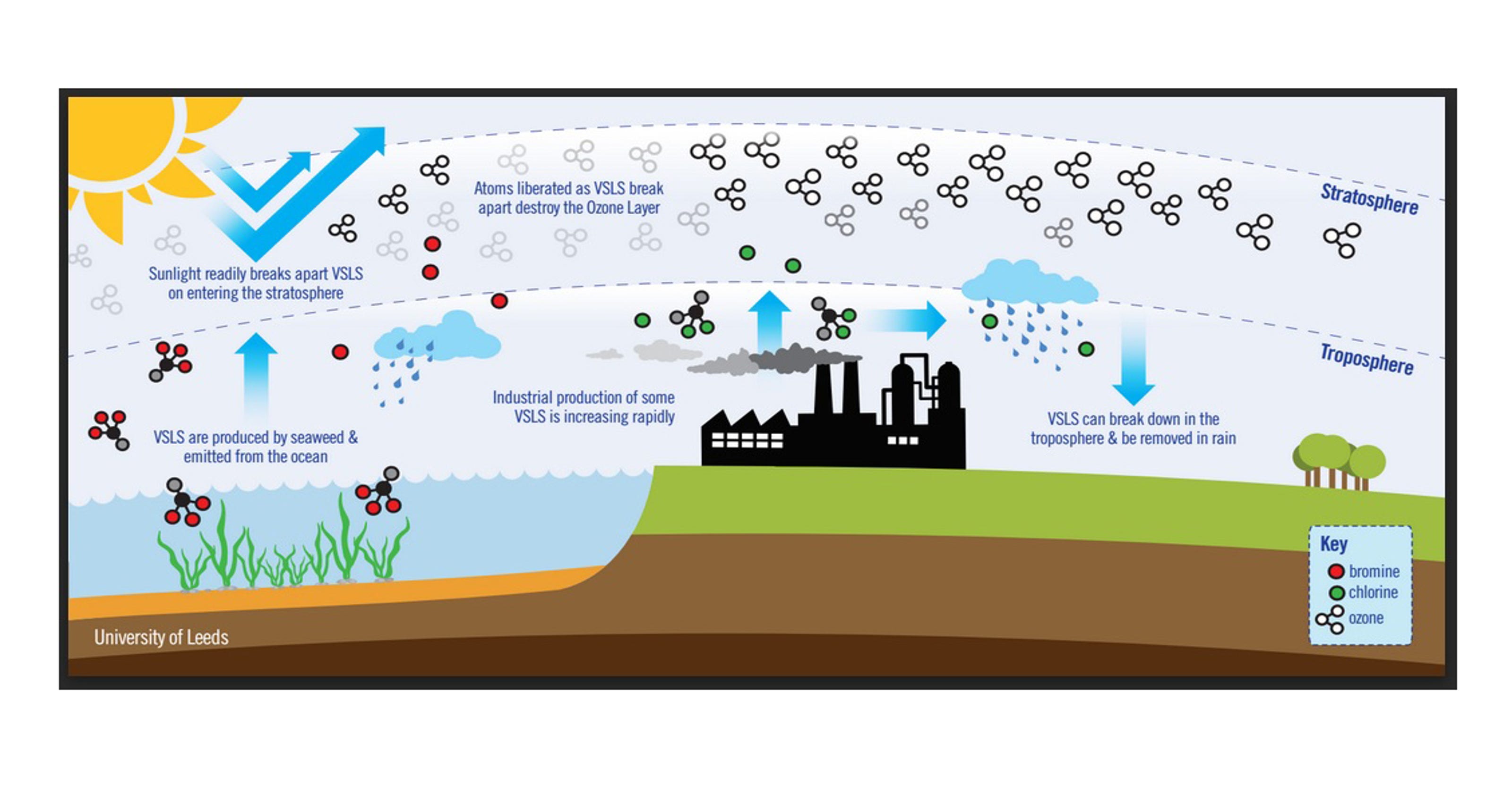 depletion of ozone layer leads to global warming