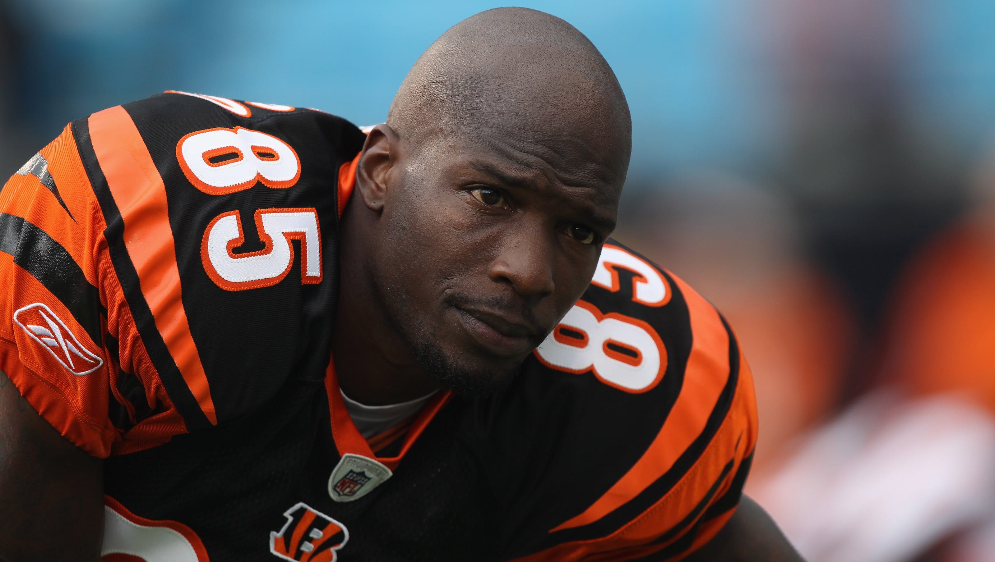Chad Ochocinco: Will Cincinnati Bengals new coaches welcome me?