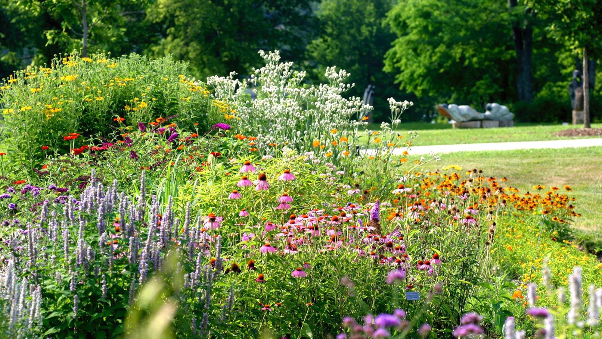 Gardening | New book on native plants offers best of Midwest