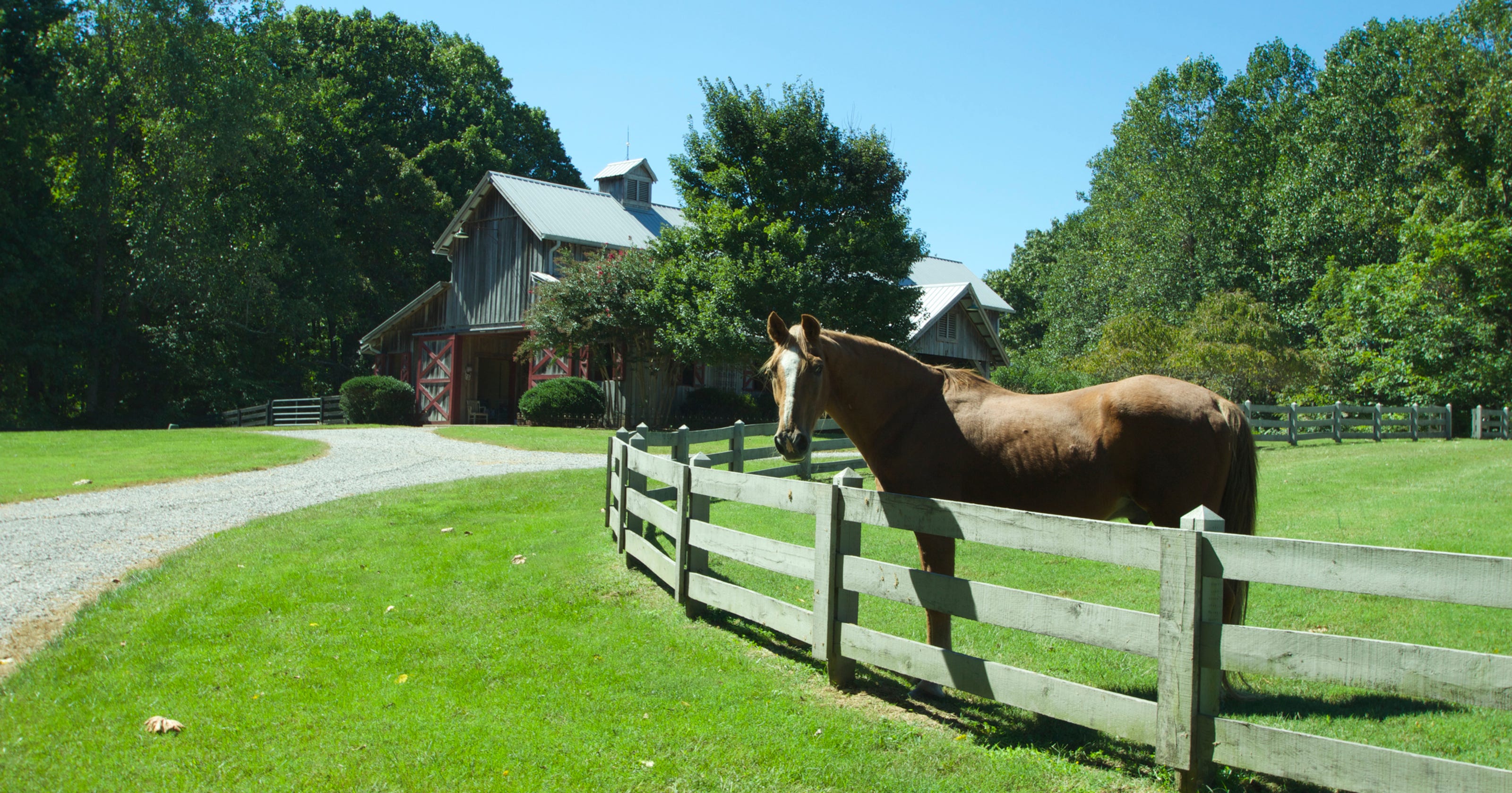Multiacre mini farms appeal to horse lovers,
