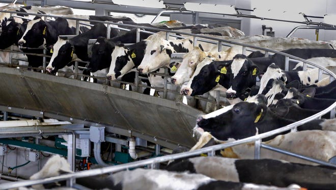 A maelstrom of economic and demographic forces are hammering Wisconsin's dairy farmers. But what's causing such exceptional distress in one of the state's iconic industries?
