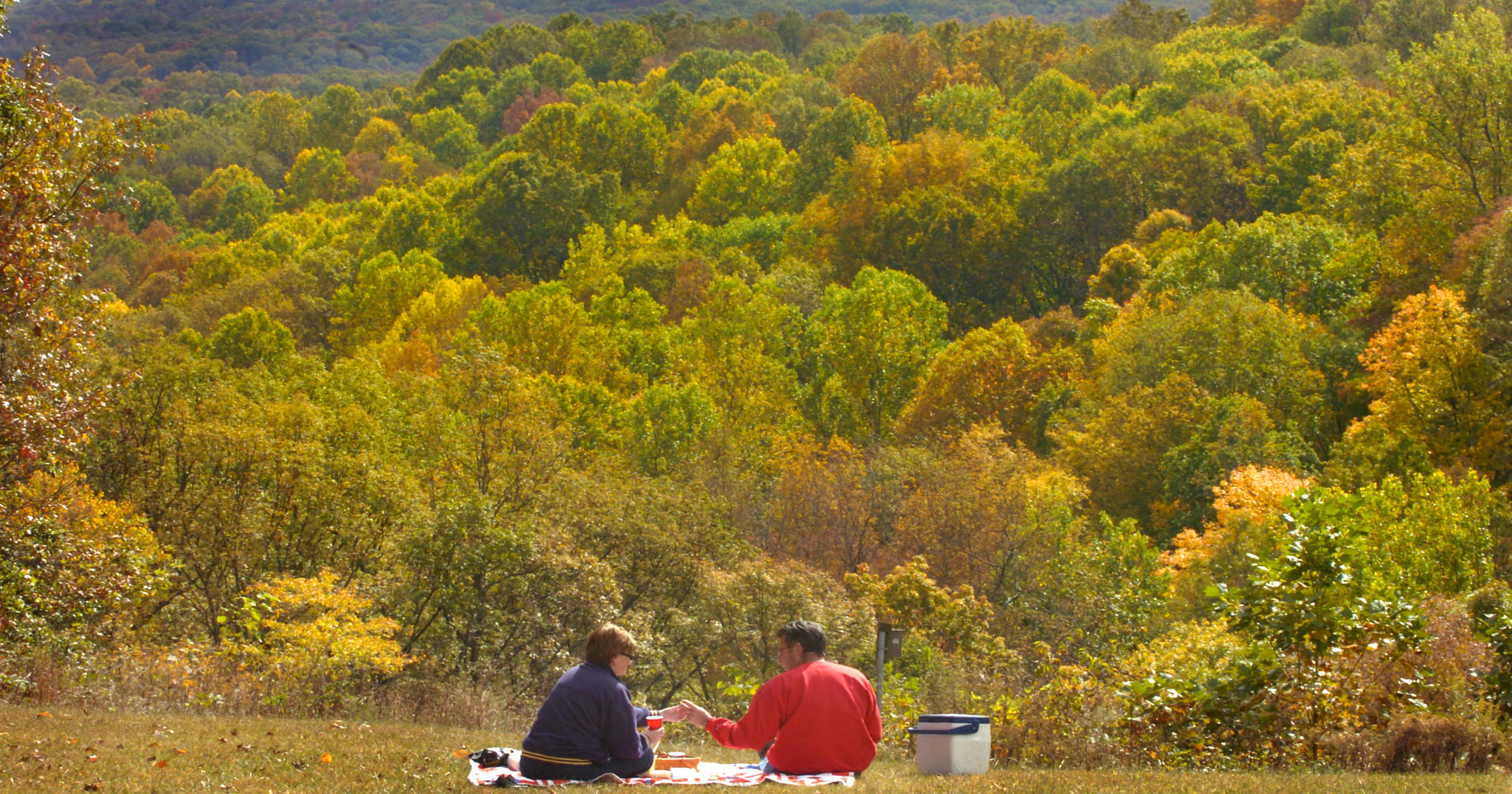 What are Indiana's top 5 state parks?