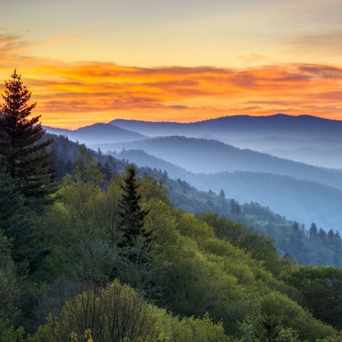 Tennessee &nbsp; &nbsp; Statistic:  11.4 million v