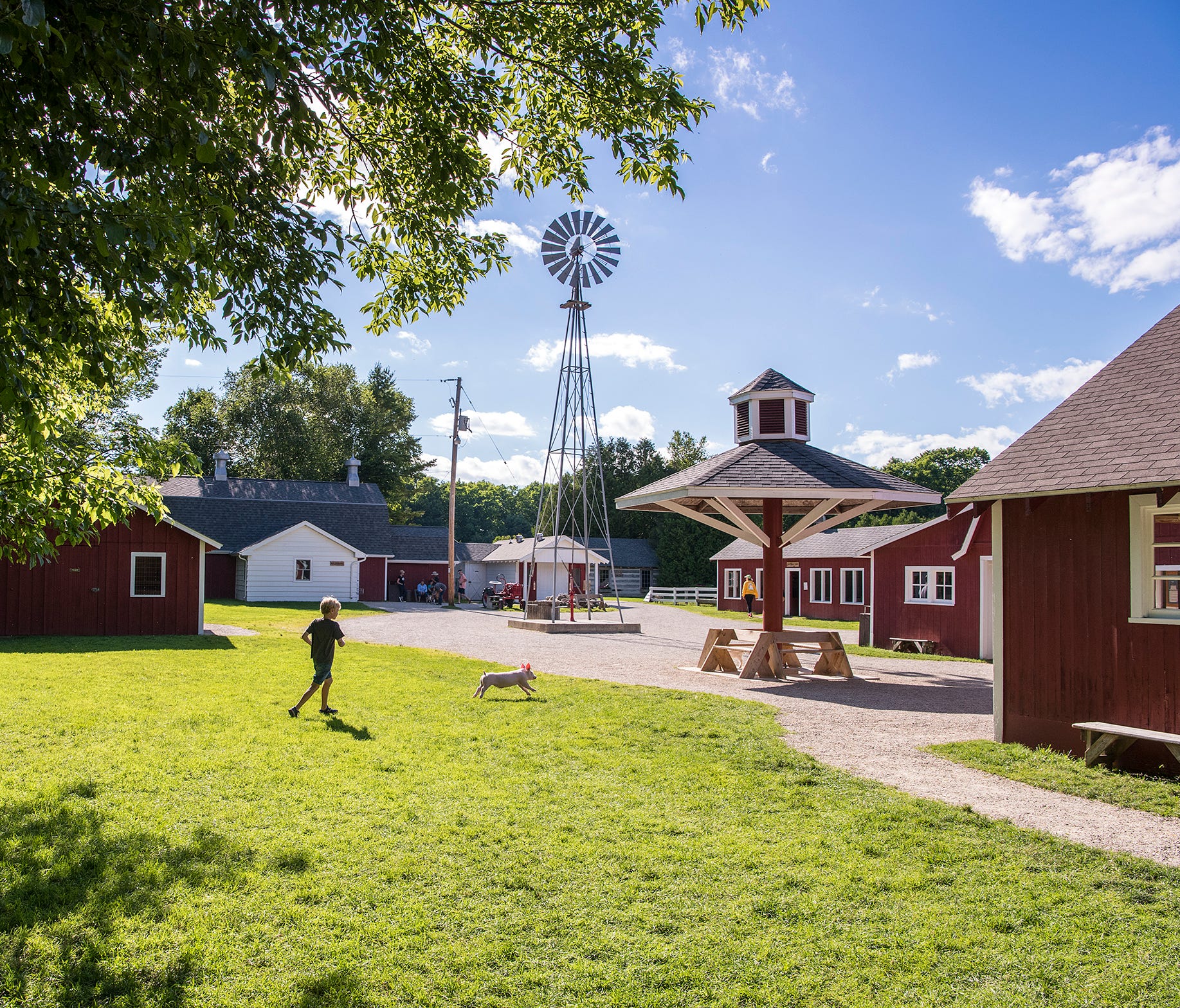 Chasing piglets and other baby animals is just one of the many joys you can experience at The Farm near Sturgeon Bay, Wis. The 40-acre property opened in 1965 with a mission of preserving rural American heritage.
