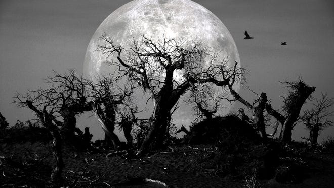 dead forest at spooky midnight under moonlight