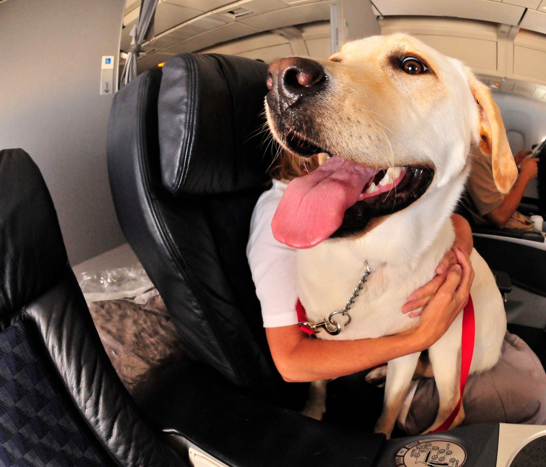 American Airlines tightened its policy Monday for passengers bringing emotional-support animals on flights. The animals must fit at the passenger's feet and not block an aisle, and the passenger much provide documentation certifying the need for the 