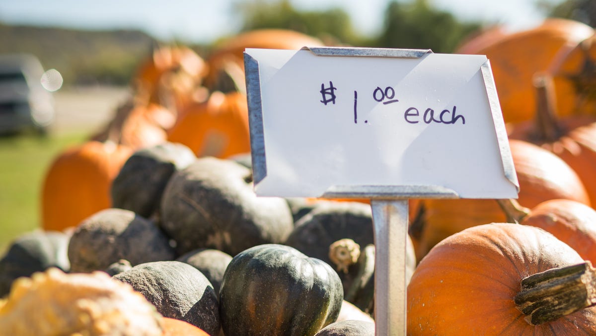 Pumpkin Patches Get In On The Agritourism Trend