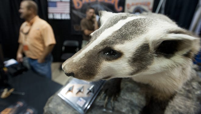The badger of Badger broadheads is seen during the Buckmasters Expo in Montgomery on Aug. 19. The 23rd annual Expo was billed as “the largest hunting sale ever.”