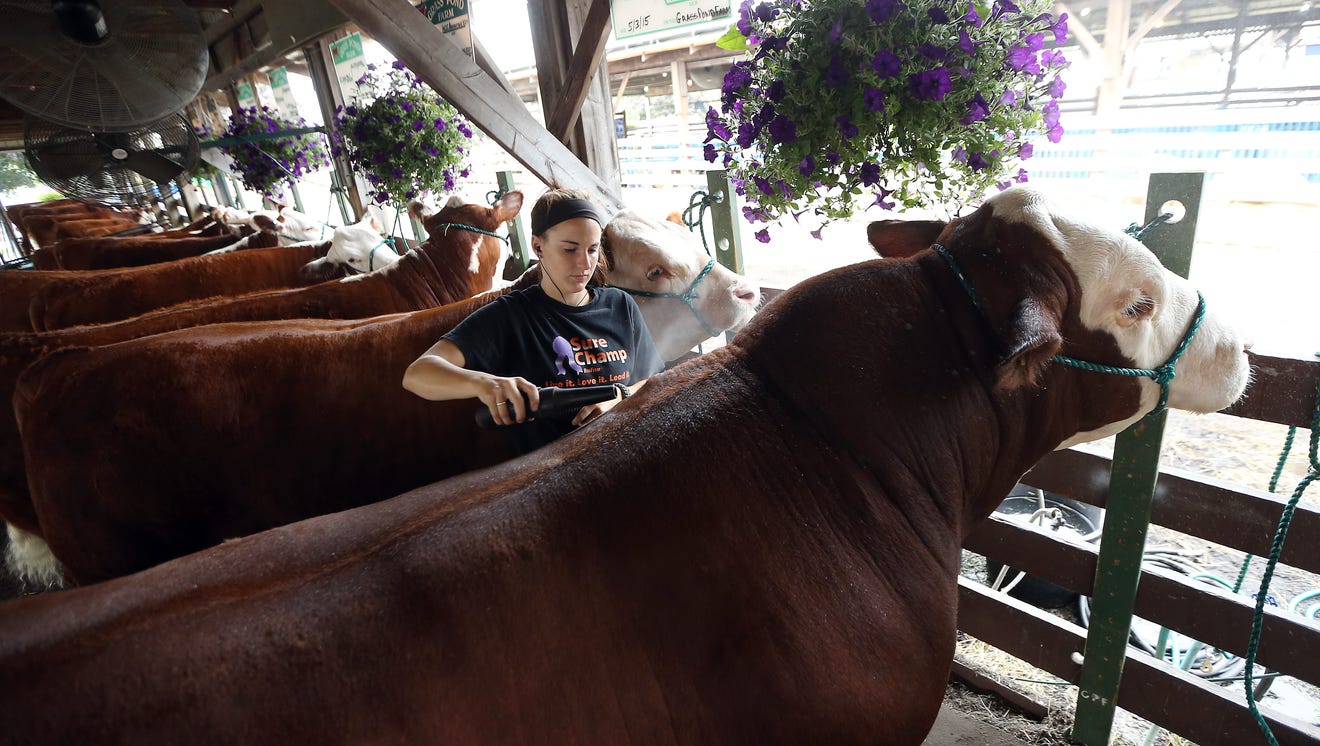 State Fair highlights agriculture from ‘A to Z’