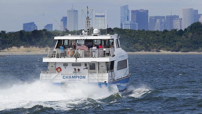 The MBTA is considering axing the Hingham, Hull ferry service for the time being to deal with declining riders and fares amid the coronavirus.