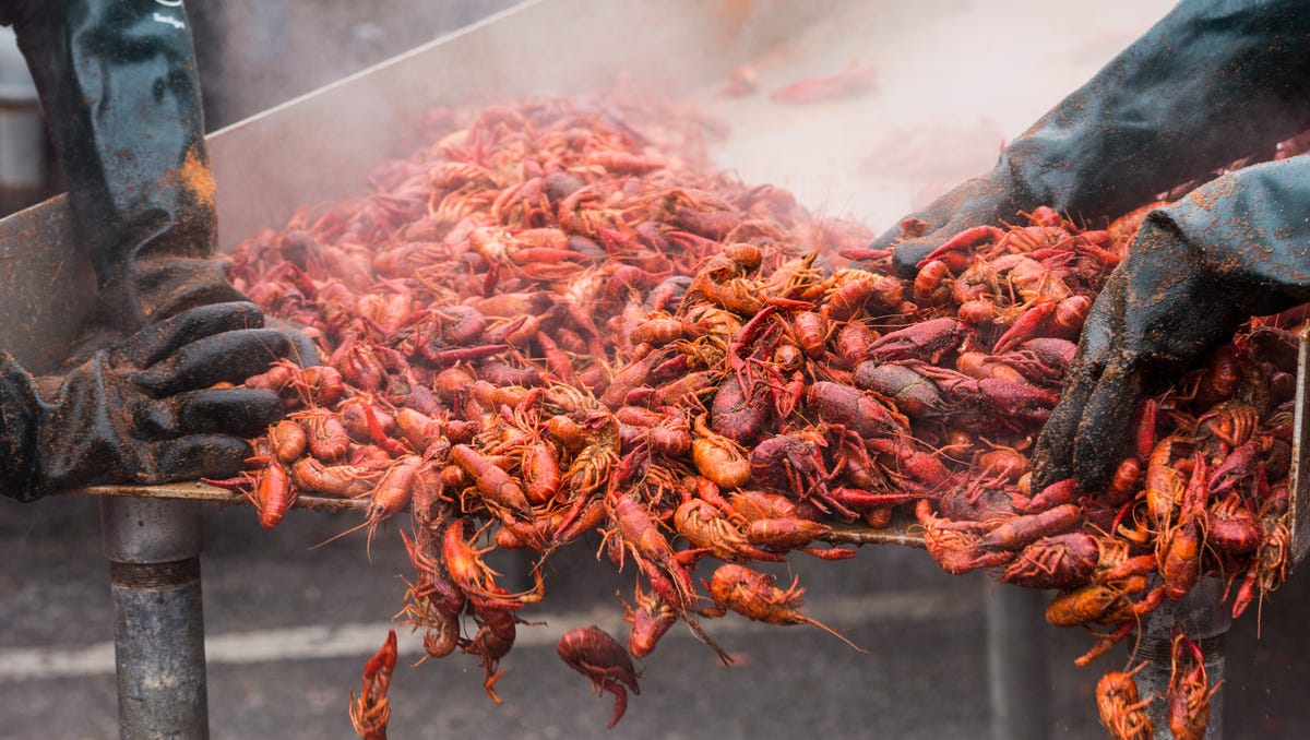 Rajun Cajun Crawfish Festival