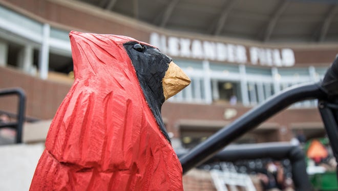 Ball State treats its new mascot like royalty. Here, 'Chuck' is propped up on baseball buckets to give him a clear view.