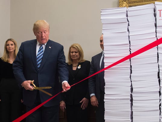 Haircut policy essay image