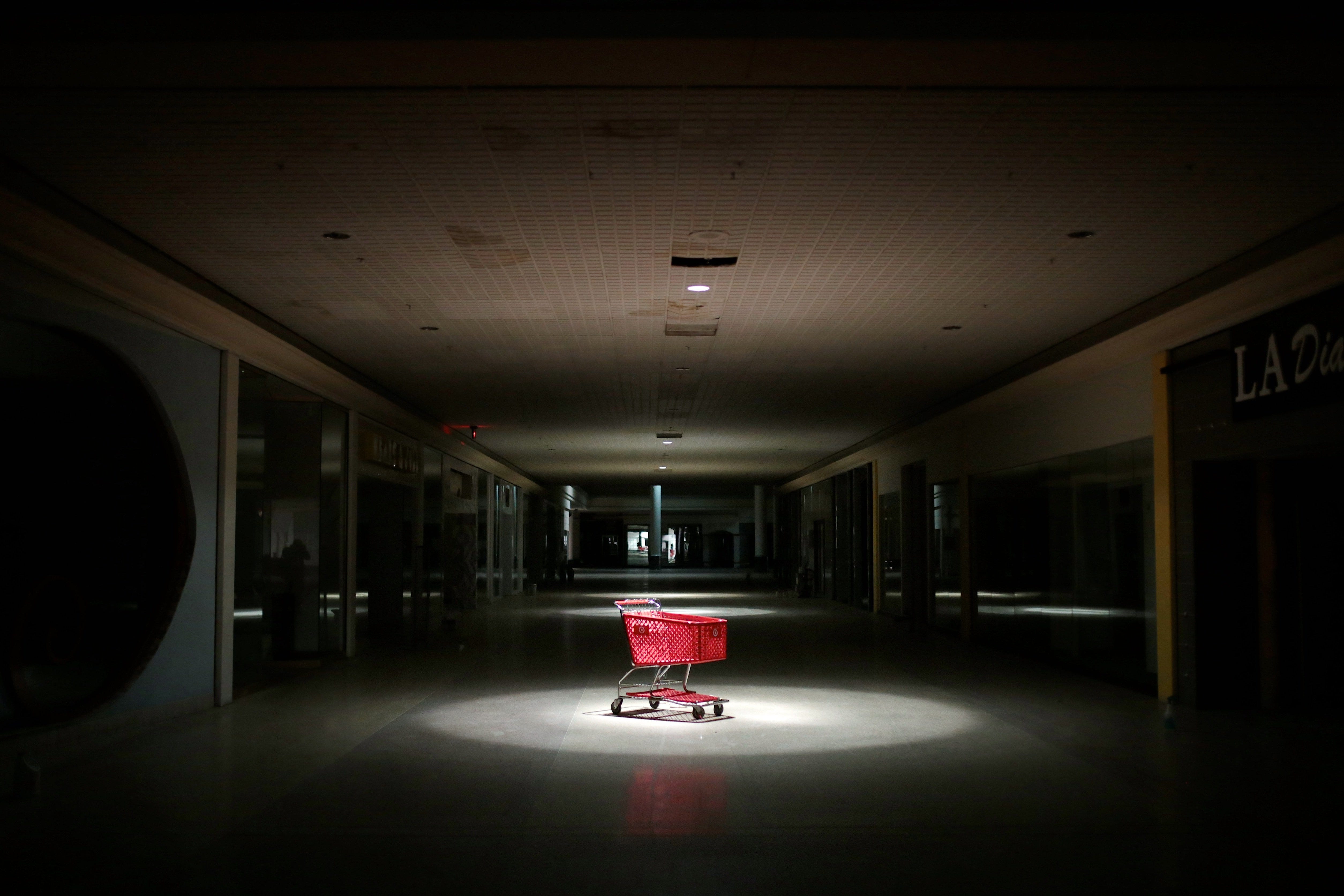 Baby Target Northland Shop, 54% OFF 