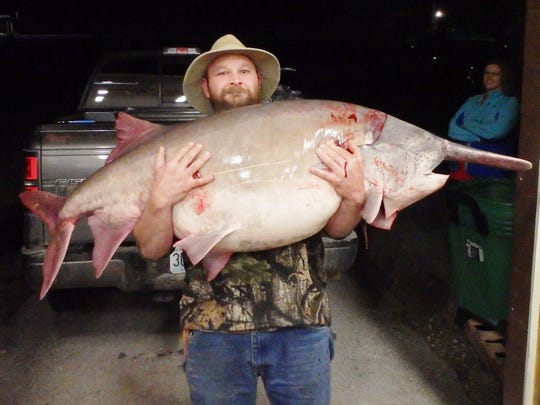 Mdc Research Project Tracks Paddlefish Movements At Table Rock Dam