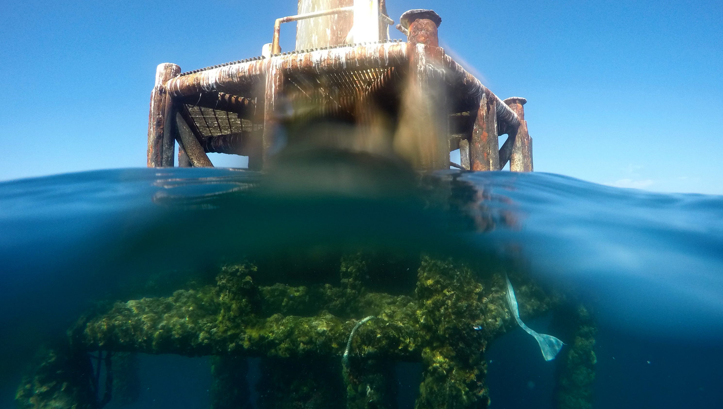 Fishermen Hope Air Force Won T Remove Reef Like Radio