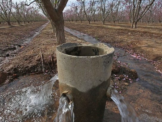 Water flows into an almond orchard east of Fresno.