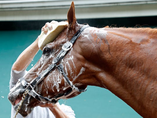 Justify will attempt to become the 13th horse to win the famed Triple Crown, and first since American Pharoah did it in 2015.