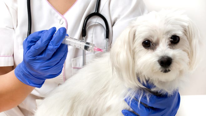 $10 rabies vaccination clinics are scheduled in Knox and Sevier counties in May.