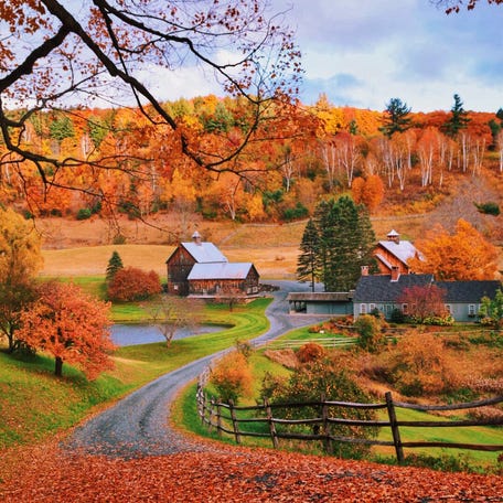Rachel Robert calls Sleepy Hollow Farm in Vermont a "photographer's dream."