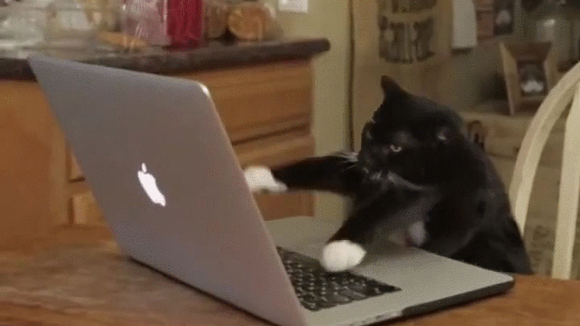 Hilarious GIFs and memes that tell the story of every mom's typical day