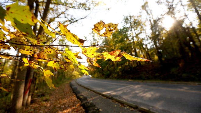 Cincinnati S First Frost Arriving A Little Early