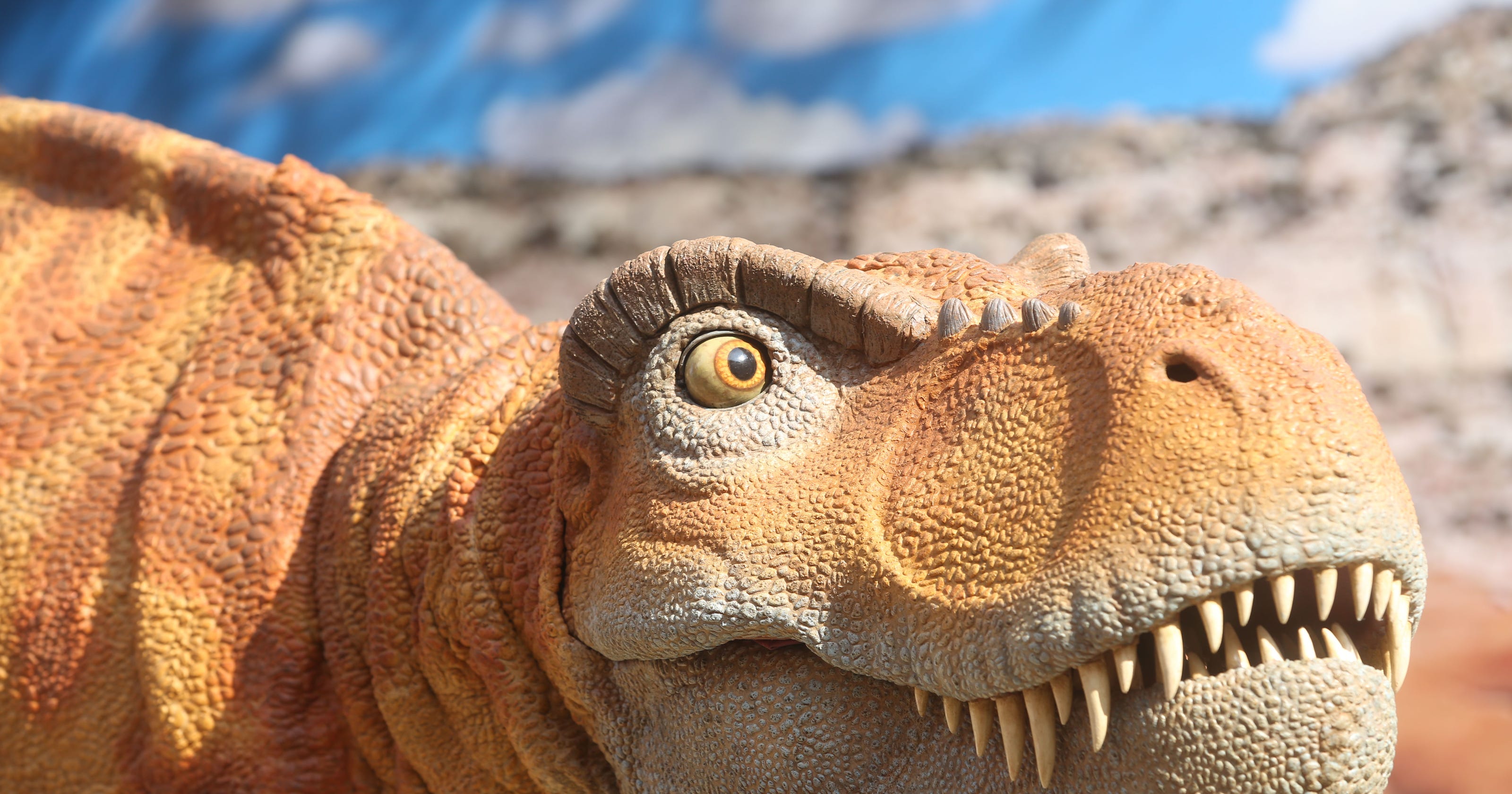 everything to know about dinosaurs