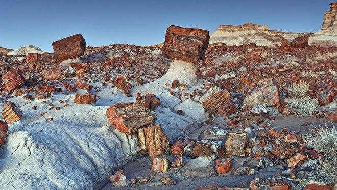 Petrified Forest National Park offers hiking trails, museums, ancient ruins and an otherworldly landscape.