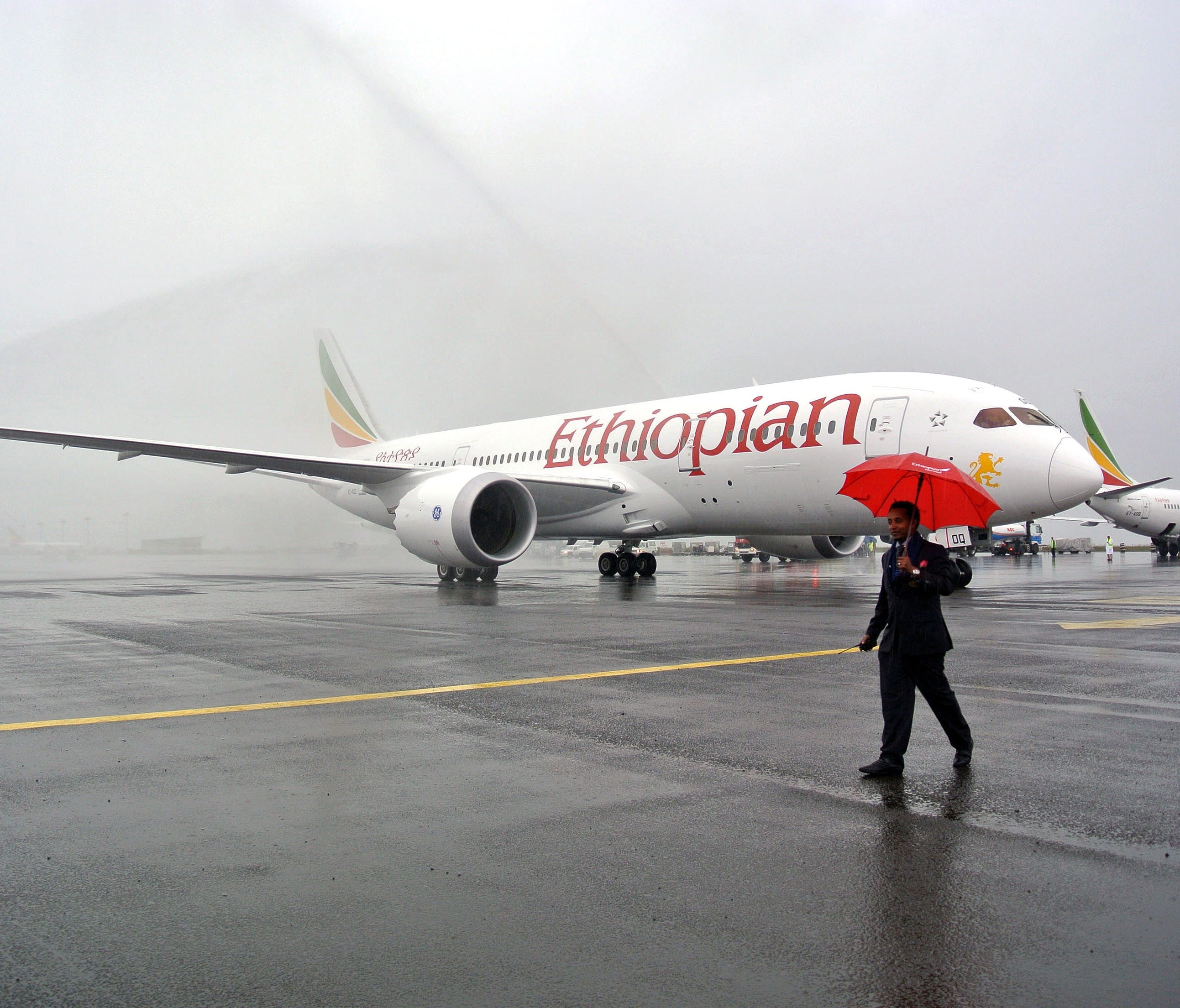 This file picture from August 2012 shows an Ethiopian Airlines Boeing 787 Dreamliner in Addis Ababa.
