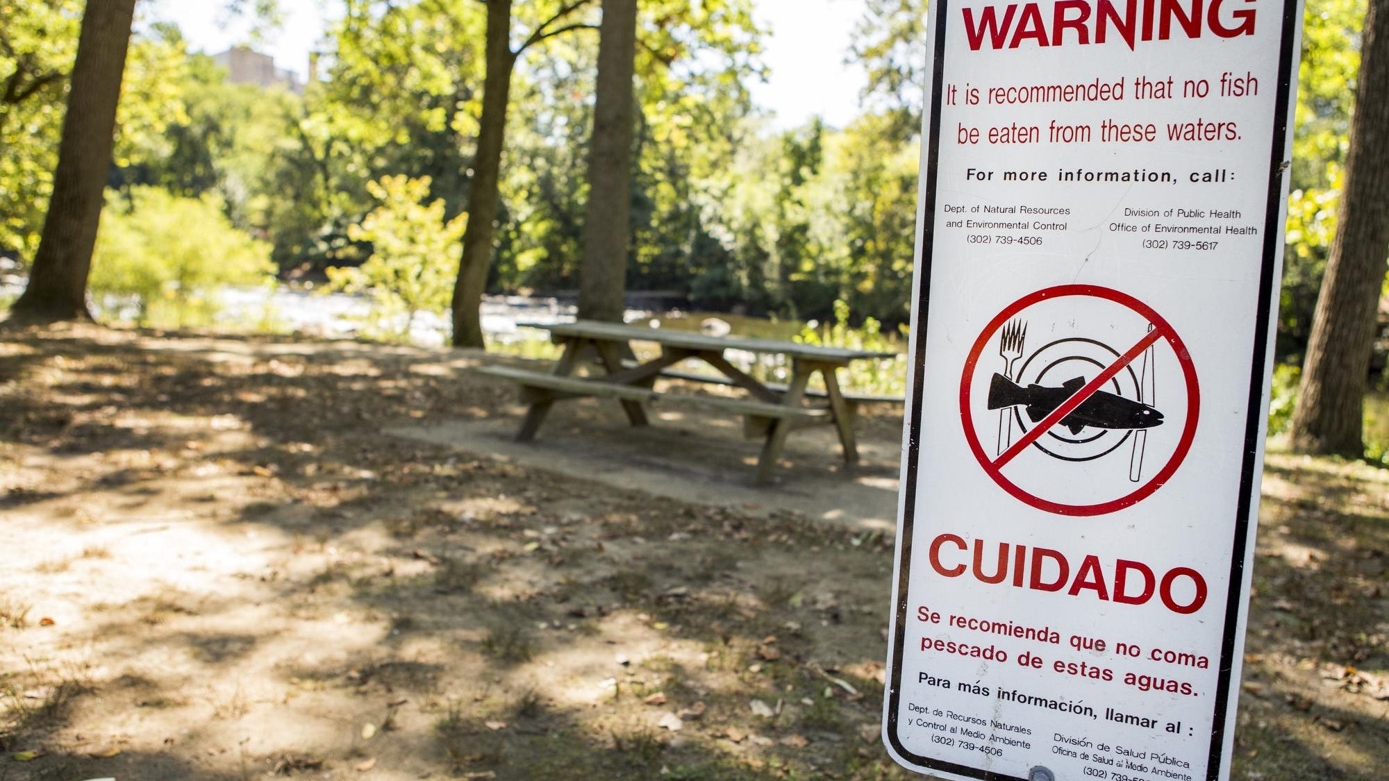 Fish Caught In Delaware Waters Are Safer To Eat