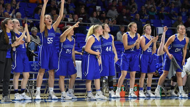 Members of the Summertown bench celebrate a three pointer by one of their teammate during the 2018 Class A quarterfinals against Dresden, Thursday, March 8, in Murfreesboro.
