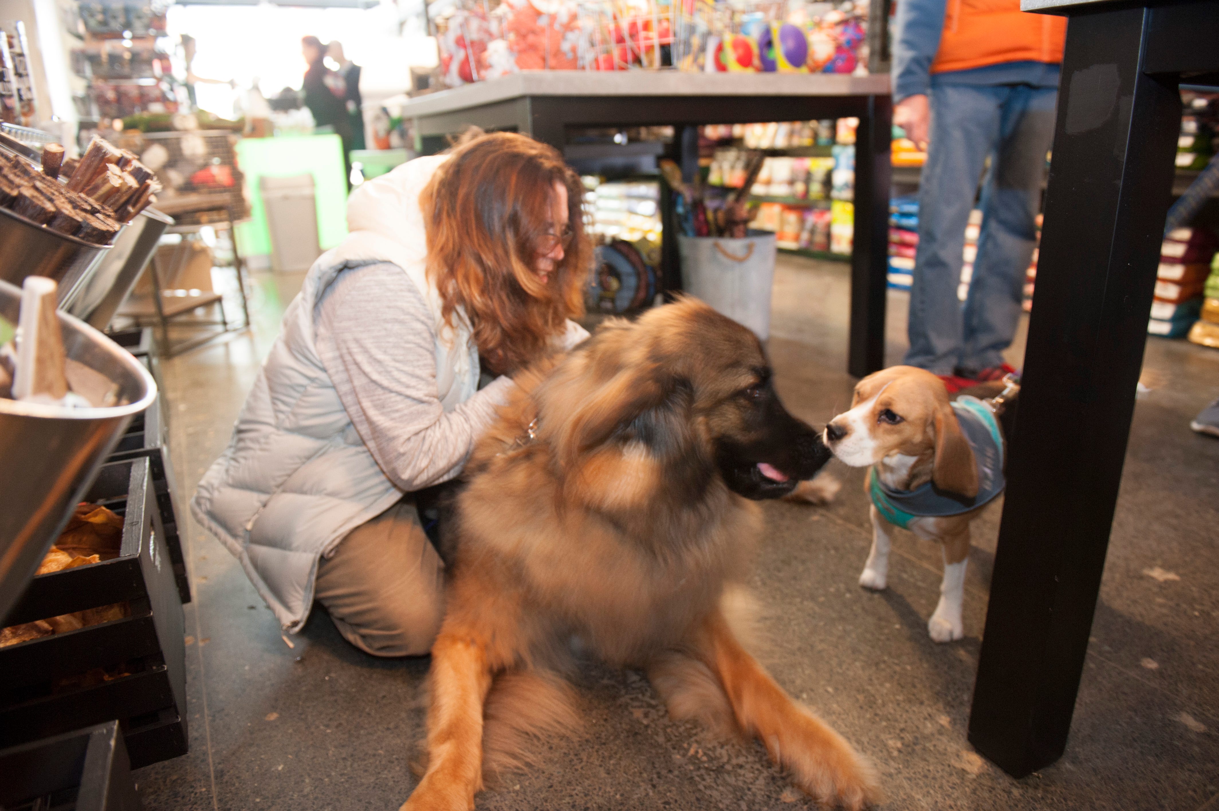 long drive dog & cat hospital