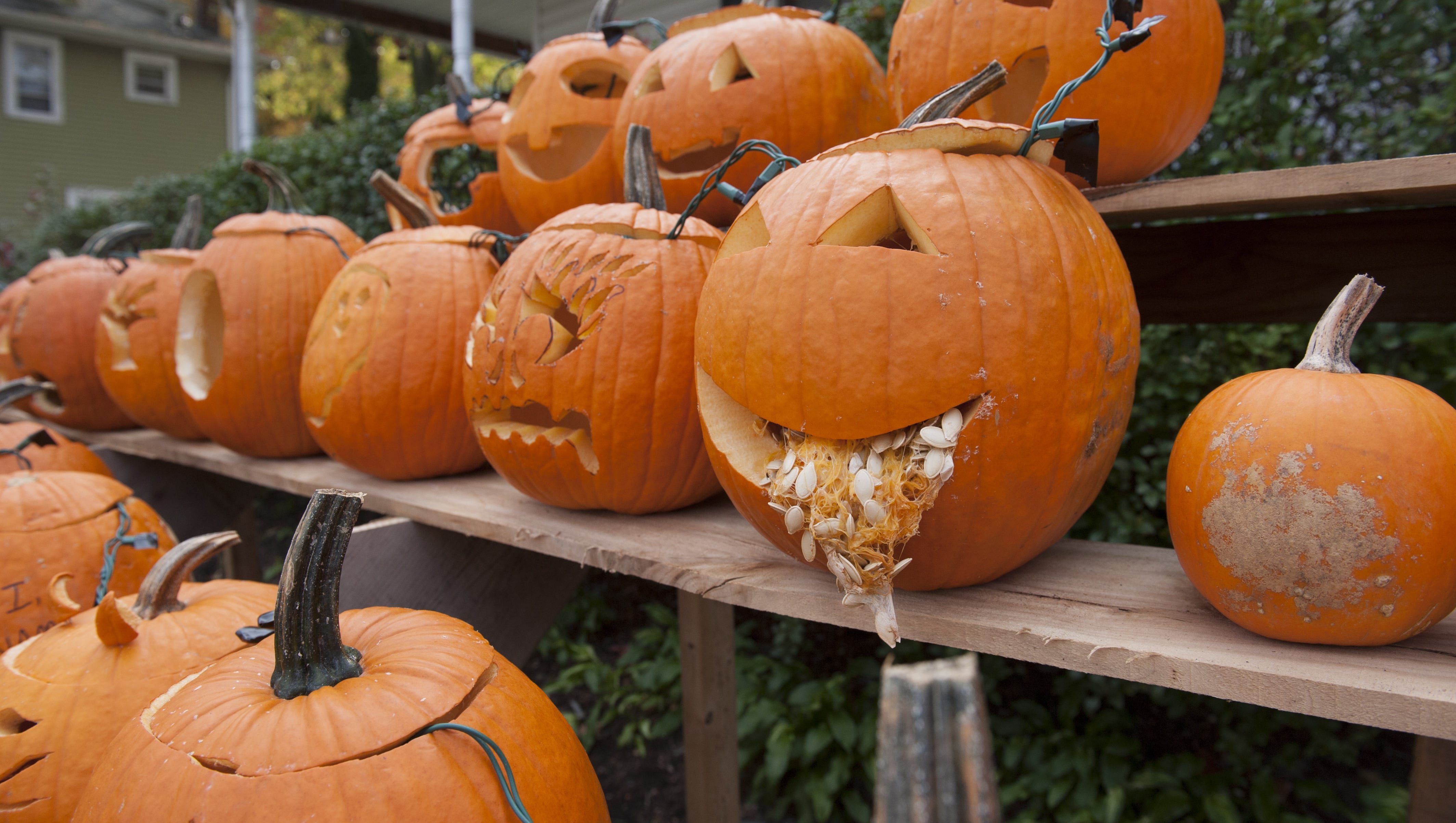 South Jersey Fall Festival Guide