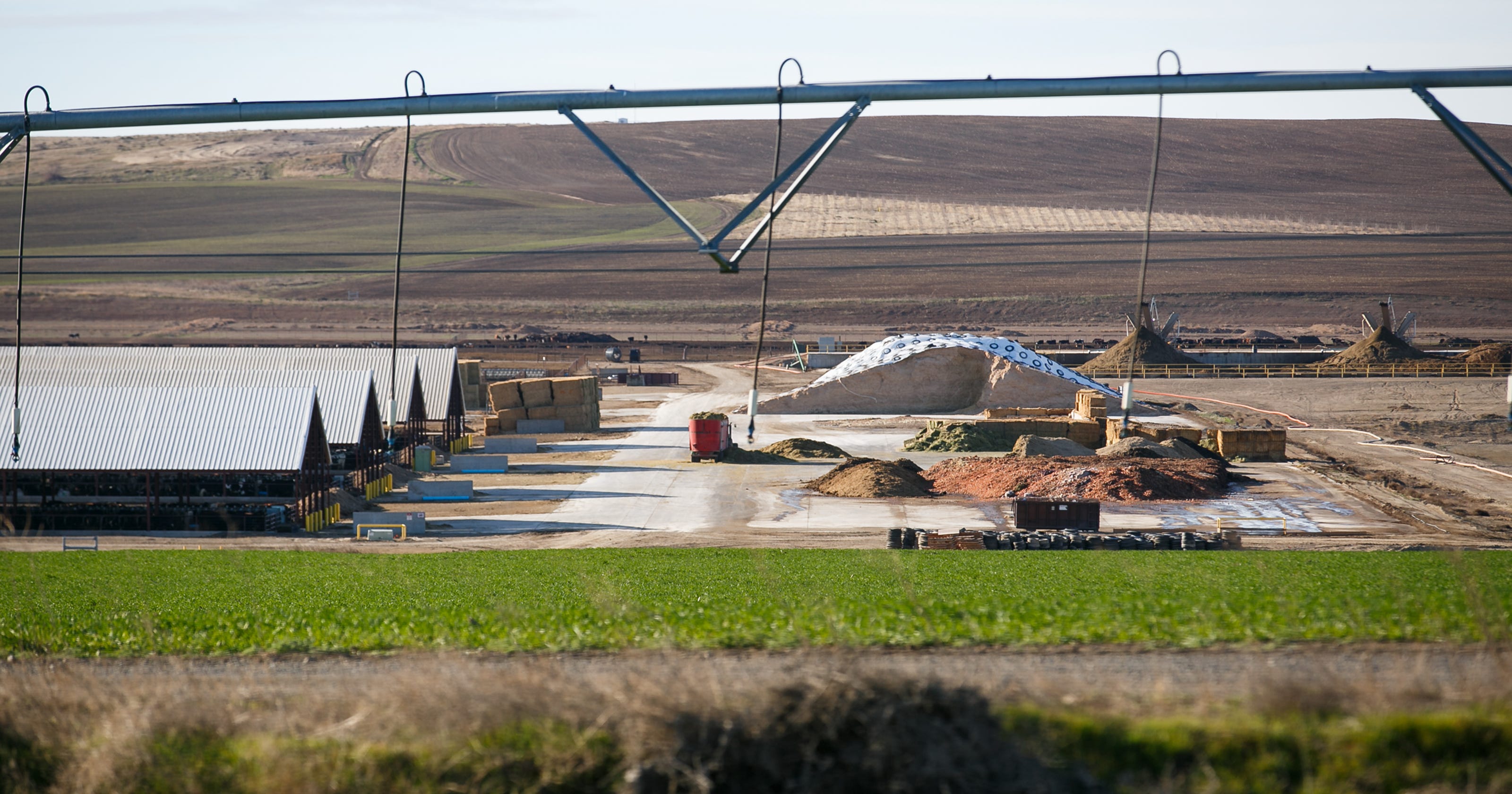 Oregon megadairy Lost Valley Farm may have to auction herd