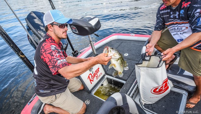 Chris Johnston of Peterborough, Ontario places bass in his fish bag just before the final day weigh-in at the FLW Tour event presented by Lowrance on the Harris Chain of Lakes near Leesburg, Fla..