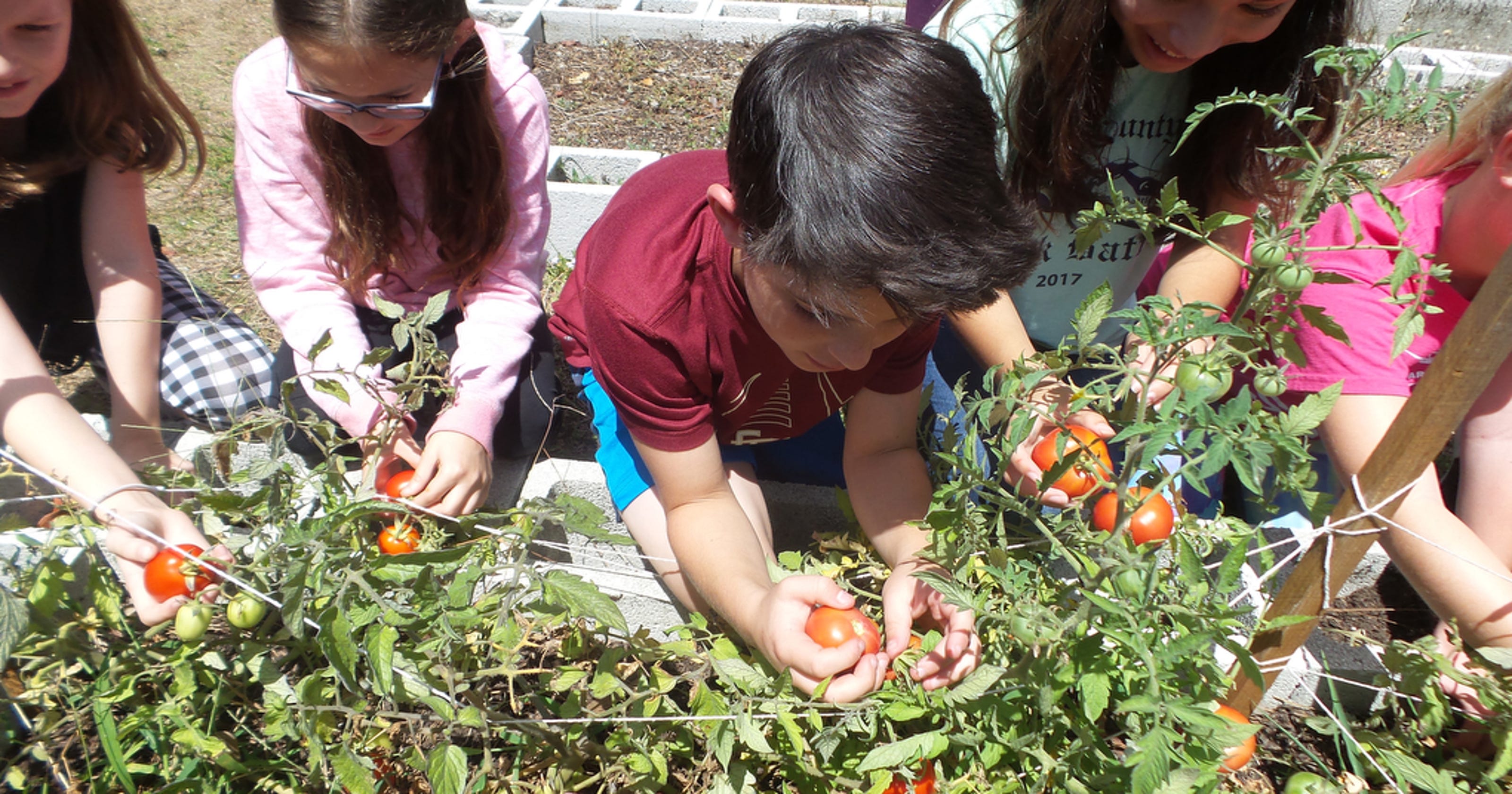 Students at Allen Park Elementary prepare for a space odyssey.