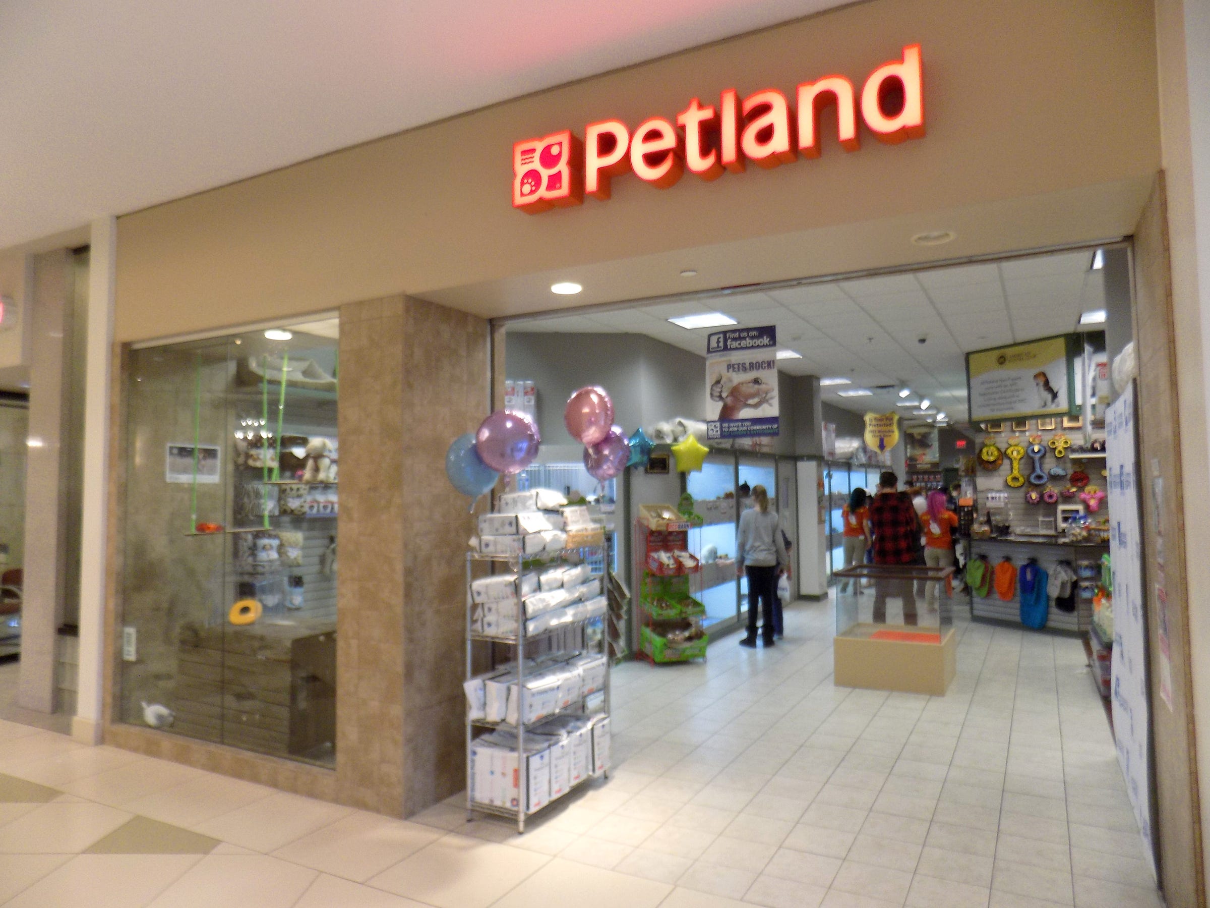 Pet Shop Petland 2024 leadctr