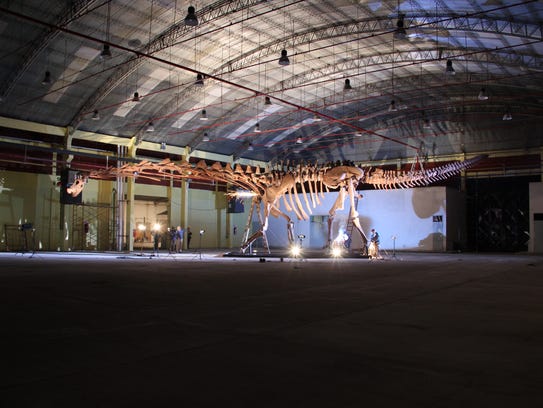 A cast of the skeleton of Patagotitan mounted in the