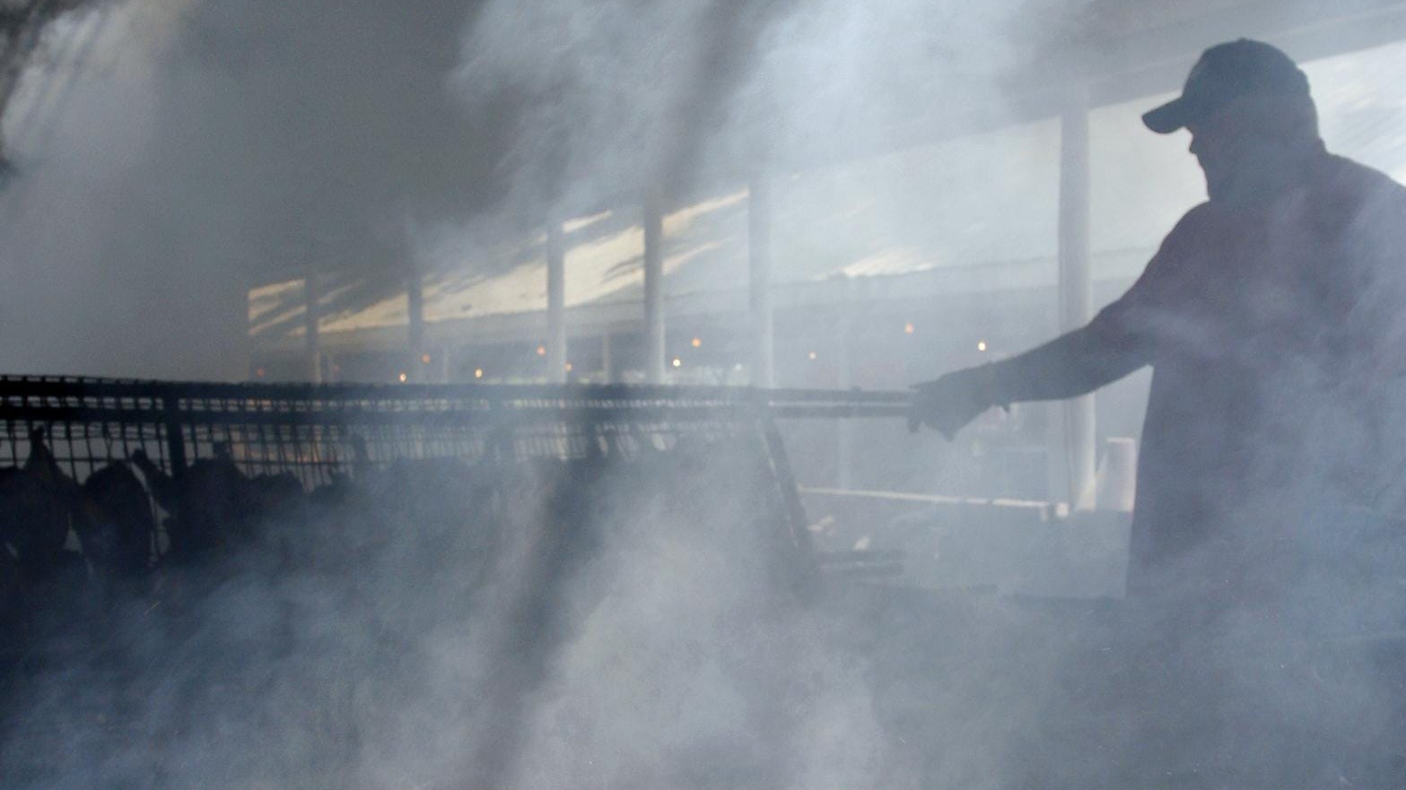 Crane gears up for annual Broiler Festival