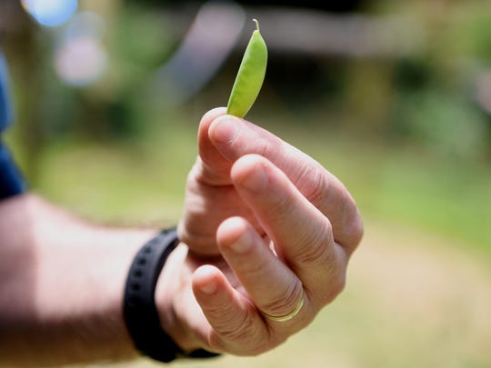 Ample Harvest Helps Gardeners Curb Food Waste Share Extra Produce