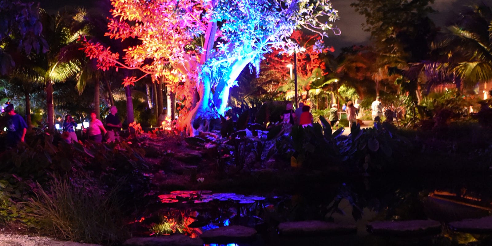 Lighting up the night Annual Naples Botanical Garden spectacle creates