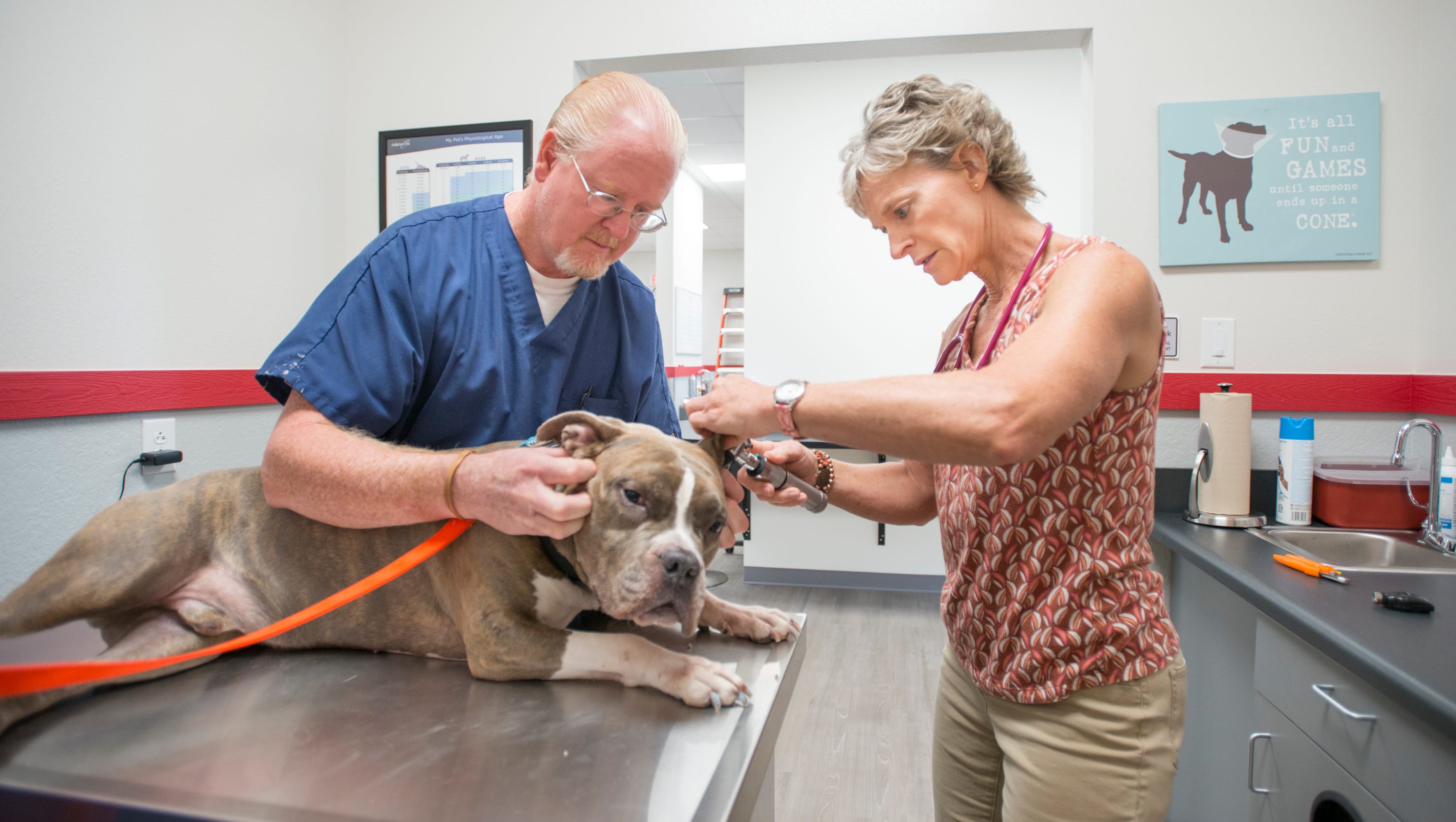 Veterinarian turns old Cantonment Post Office into animal clinic