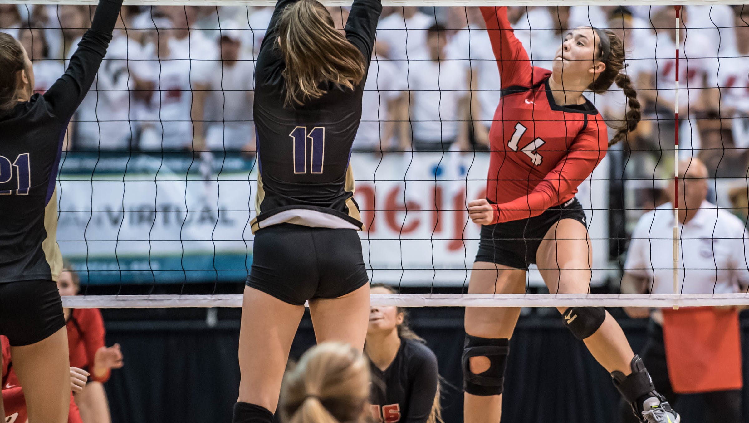 Laingsburg volleyball punches ticket to Class C state final