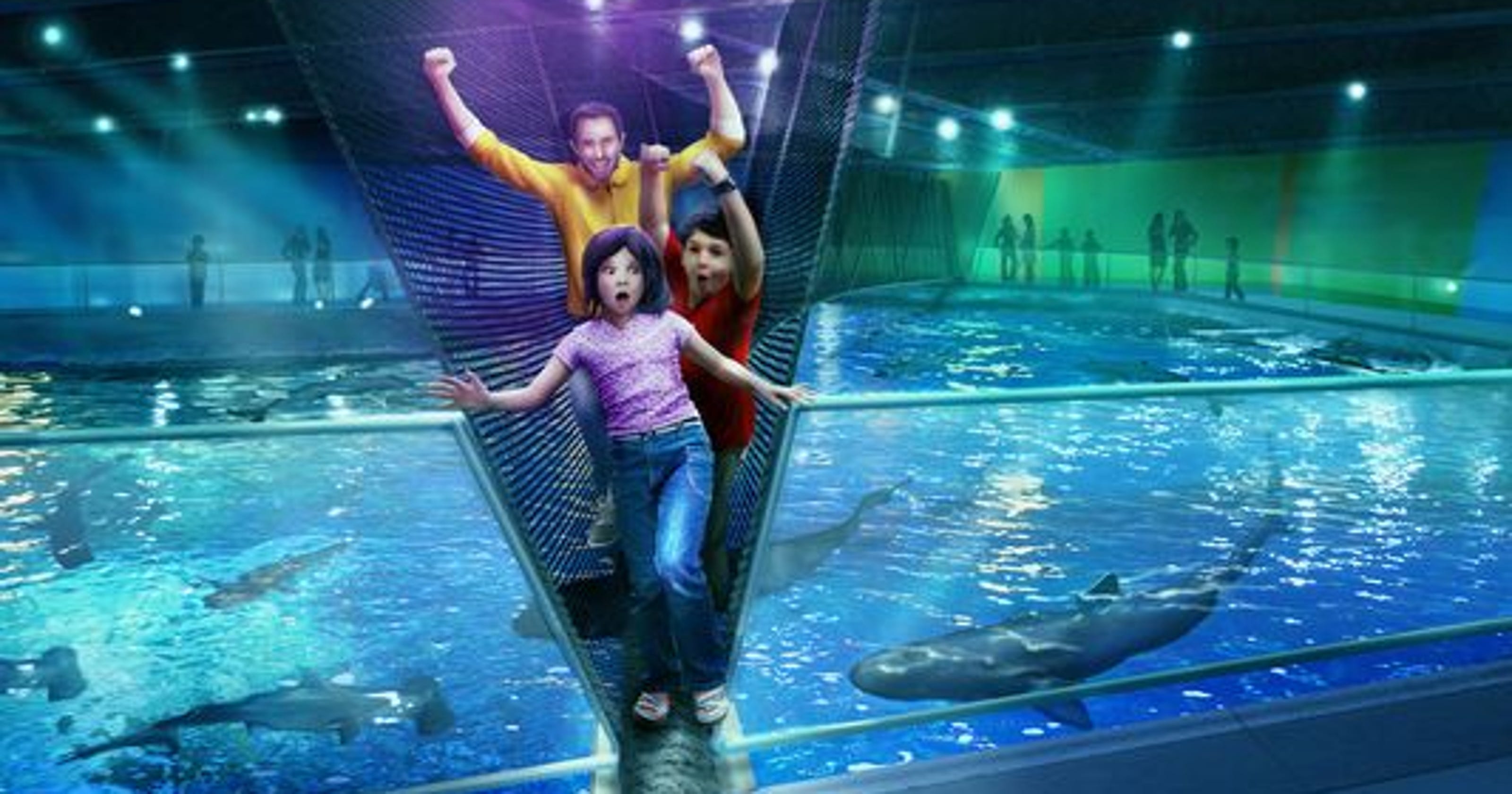 Bridge over shark tank opens at Newport Aquarium