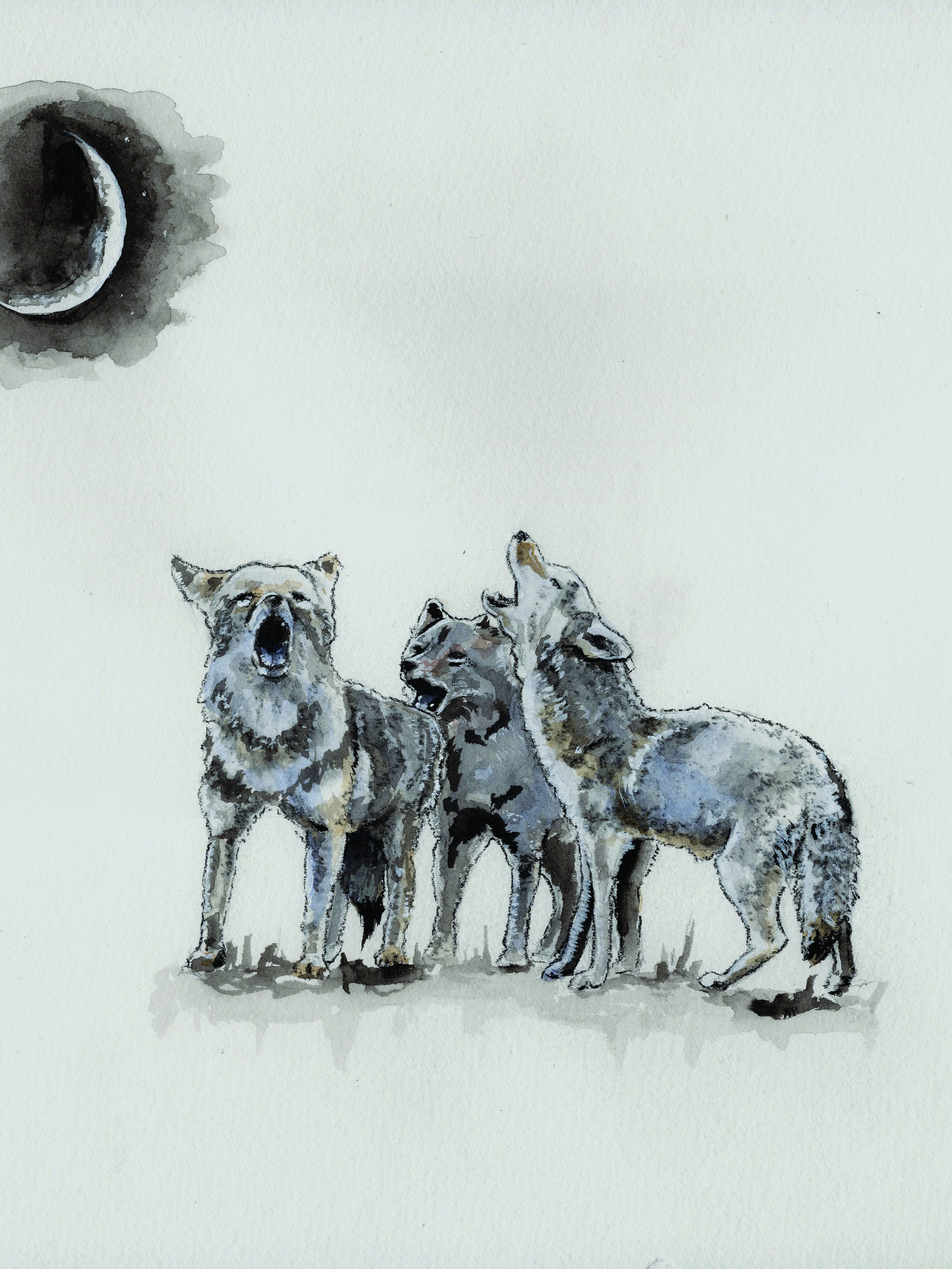 California Desert Artists Offer Poetry Prose Essays On Beauty